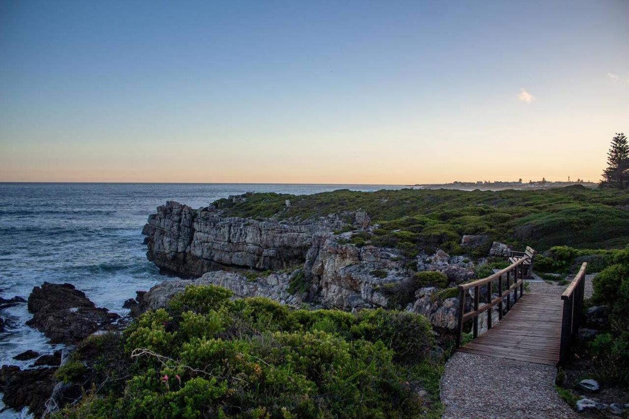 The Wildflower Studio Apartment Hermanus Exterior photo