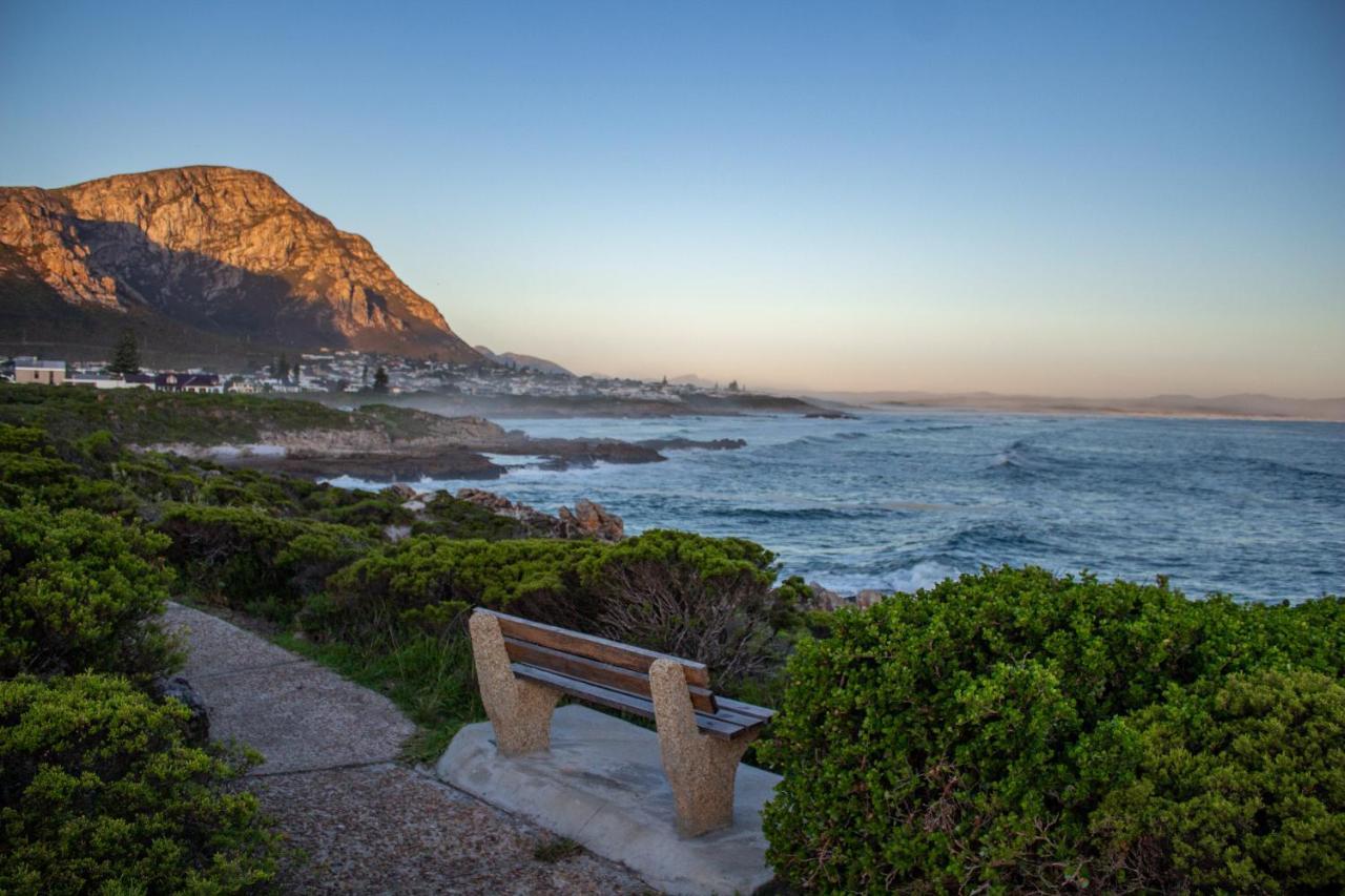 The Wildflower Studio Apartment Hermanus Exterior photo